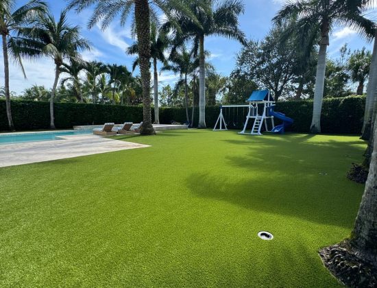 jupiter-artificial-grass-cleaning