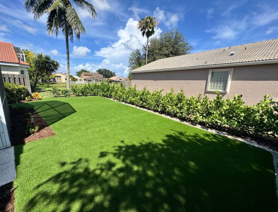 jupiter-artificial-turf-cleaner
