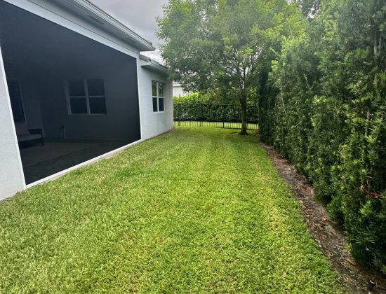 jupiter-backyard-turf-cleaning