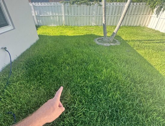 jupiter-cleaning-services-for-synthetic-lawns