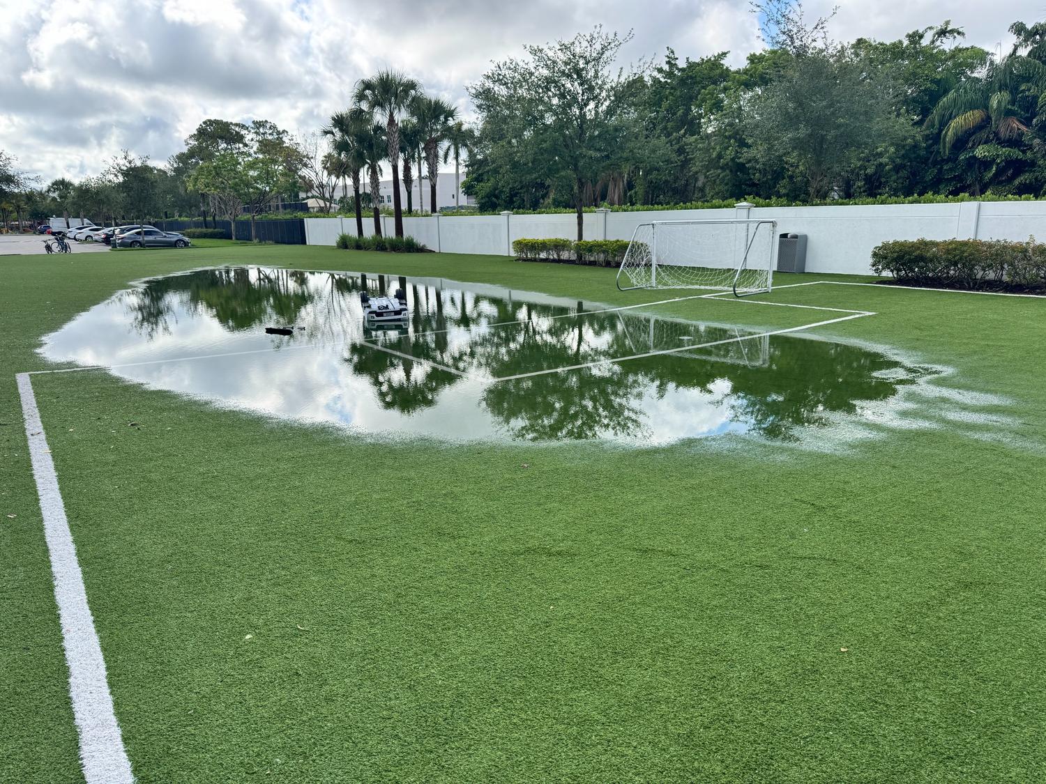 jupiter-local-artificial-turf-cleaners